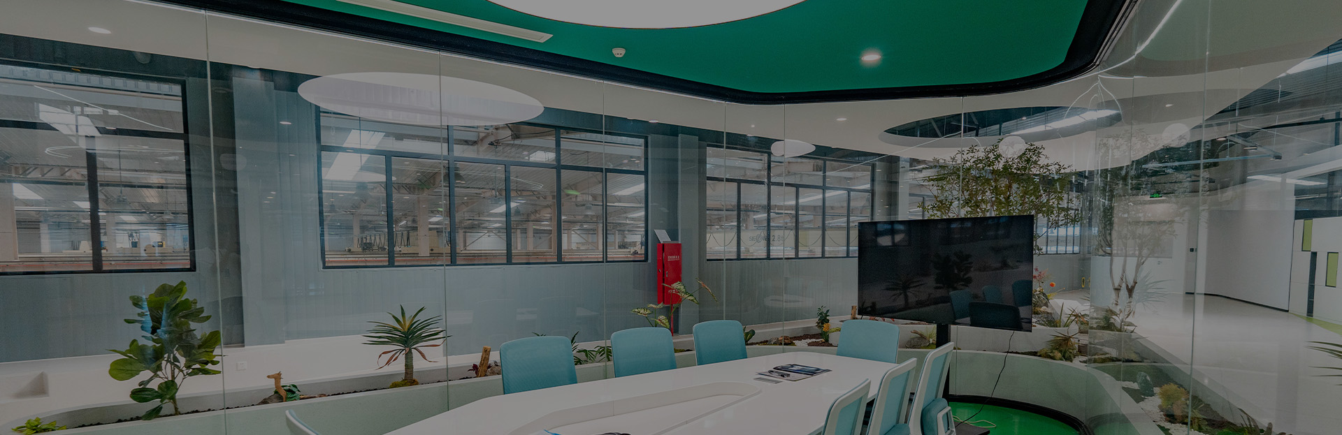 联系大香蕉网视频